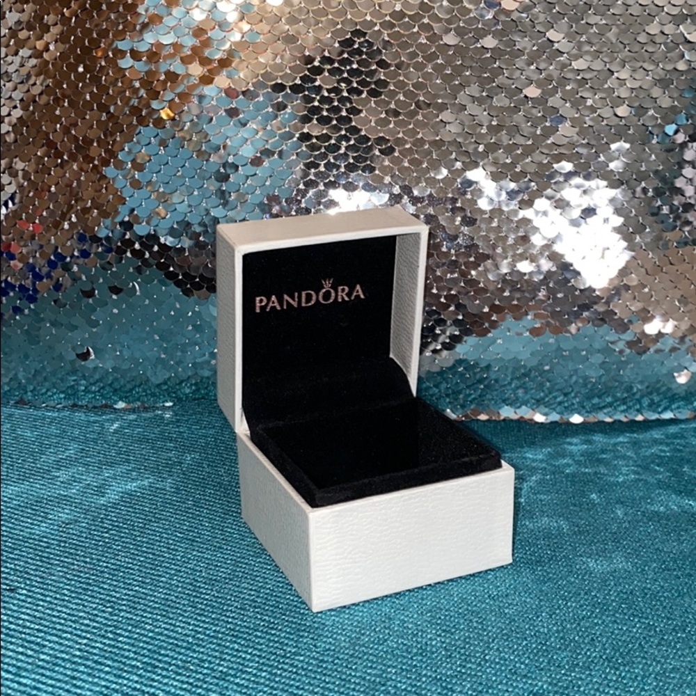 Pandora Charm Box